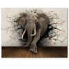 Elephant Canvas Painting