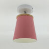 Ceiling Lamp  Light LED