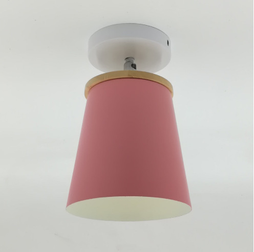 Ceiling Lamp  Light LED