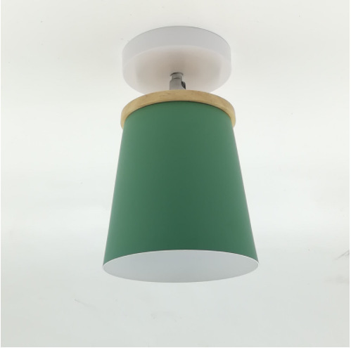 Ceiling Lamp  Light LED
