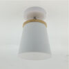 Ceiling Lamp  Light LED