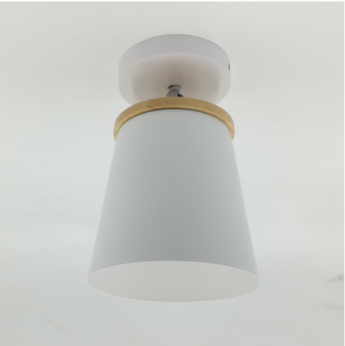 Ceiling Lamp  Light LED