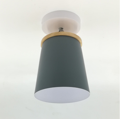 Ceiling Lamp  Light LED